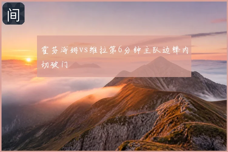 霍芬海姆vs维拉第6分钟主队边锋内切破门